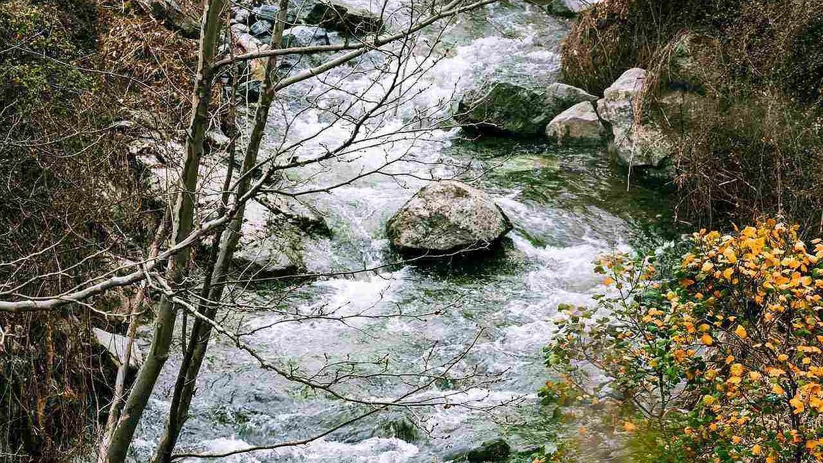 Главная картинка новости: Под Новороссийском очистили реку Озерейку от строительного мусора