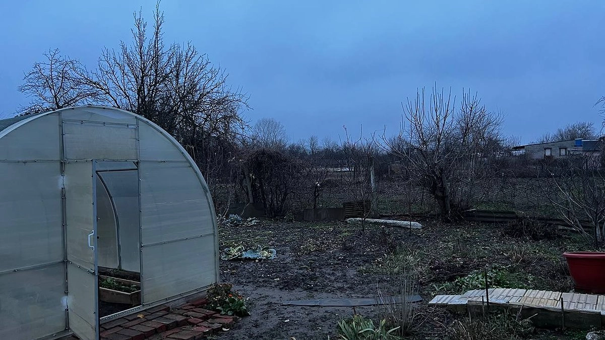 Как только сойдёт снег, сыплем на грядки — и почва становится эталоном плодородия: как после тонны навоза