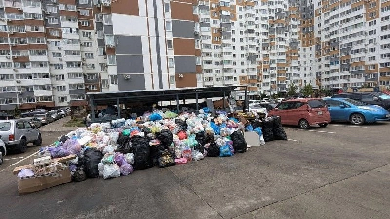Главная картинка новости: Новый замглавы по ЖКХ пообещал, что через трое суток Новороссийск будет очищен от мусора