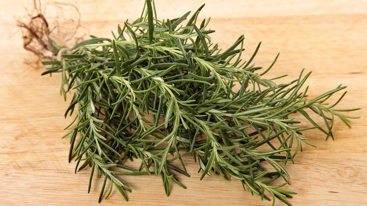Средиземноморский гость в вашей тарелке: секреты выращивания розмарина в квартире и 3 кулинарных правила