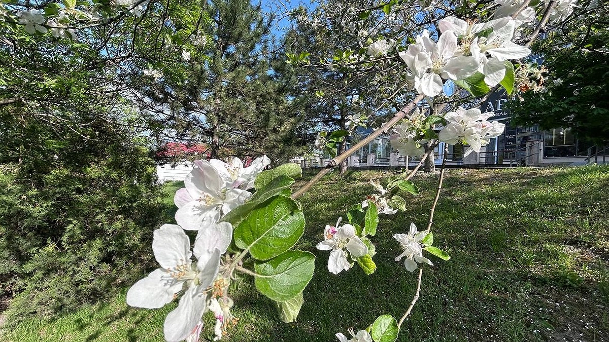 Прогноз погоды на майские праздники 2026 в России: кому повезёт с теплом, а кому — нет