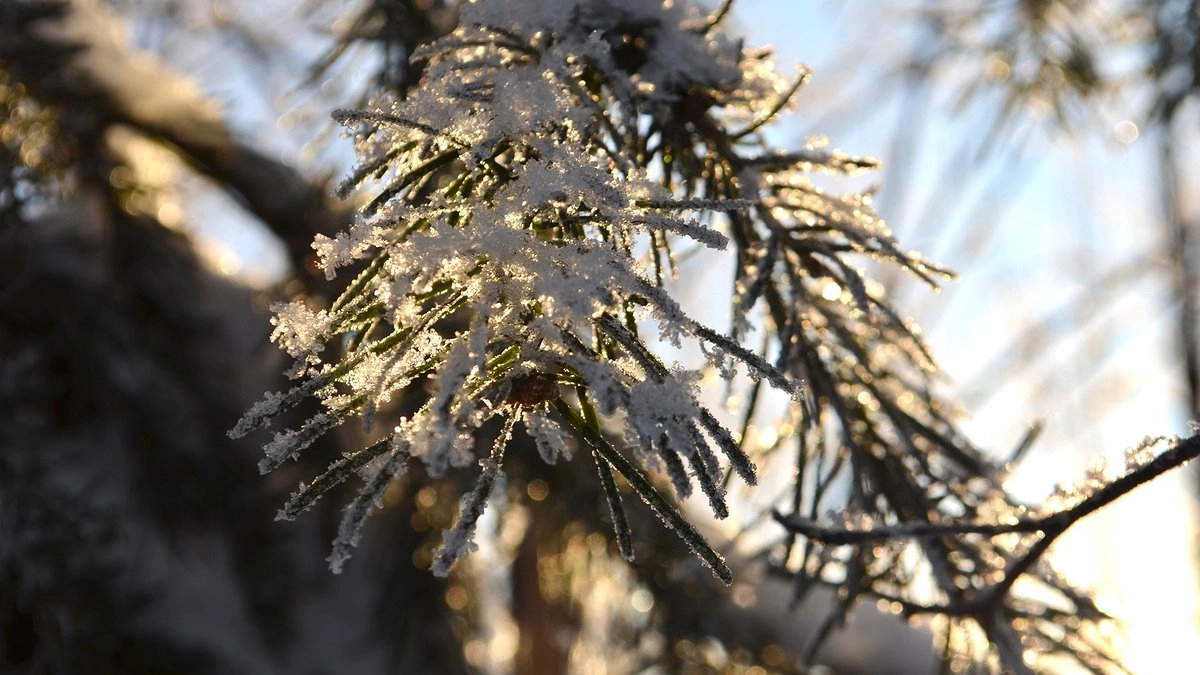 Главная картинка новости: Новогодние каникулы 2025-2026 переносятся - окончательно утвердили новые даты