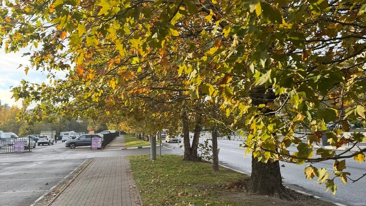 Погода в Краснодарском крае 21 октября: до +23 градусов и минимальная вероятность дождей