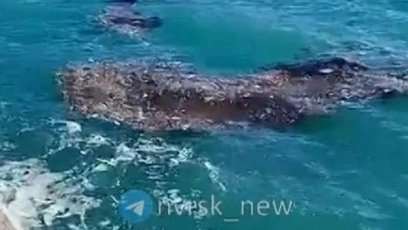 Загадочное темное пятно в Новороссийской бухте: слухи и реальность