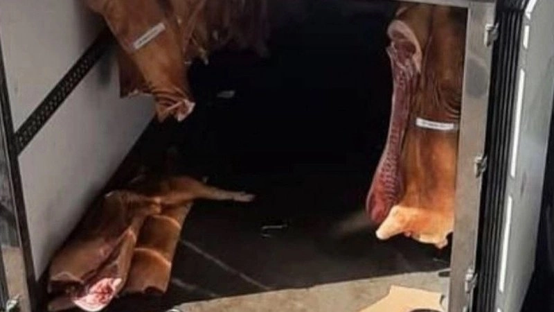 Жители Новороссийска пожаловались на мясной цех в жилом доме