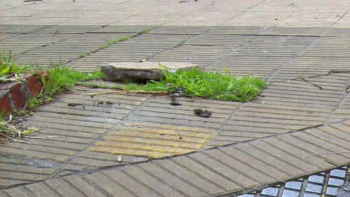 Бюджет Новороссийска «уплыл» в трубу: детали громкого дела о мошенничестве на 2,3 млн