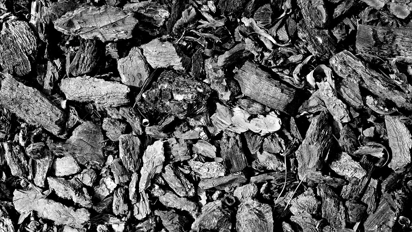 Зола на даче осенью — как, сколько и куда вносить для богатого урожая