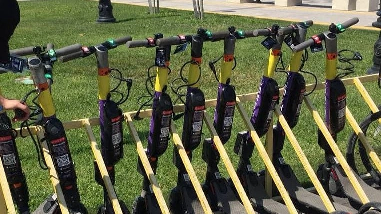 Запретят ли на набережной Новороссийска ездить на электросамокатах?