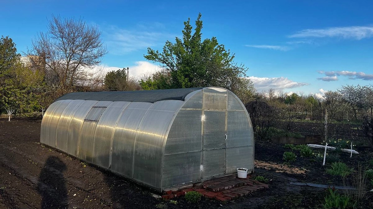 Теперь за выращивание овощей на даче впаяют штраф от 500 до 2000 рублей. Новое правило уже с 20 июня