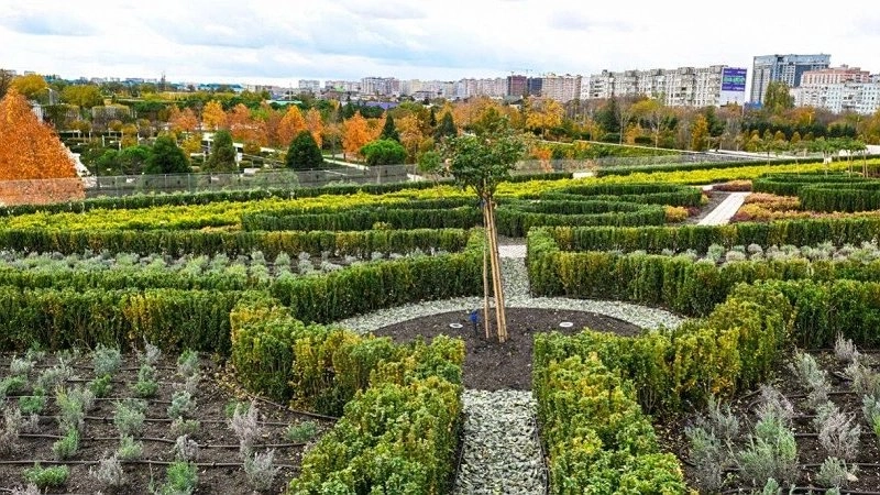 Главная картинка новости: В парке Галицкого открылась новая зеленая локация