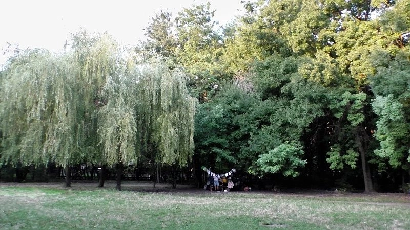 В Новороссийске создадут новые экологические маршруты с учетом мнения специалистов