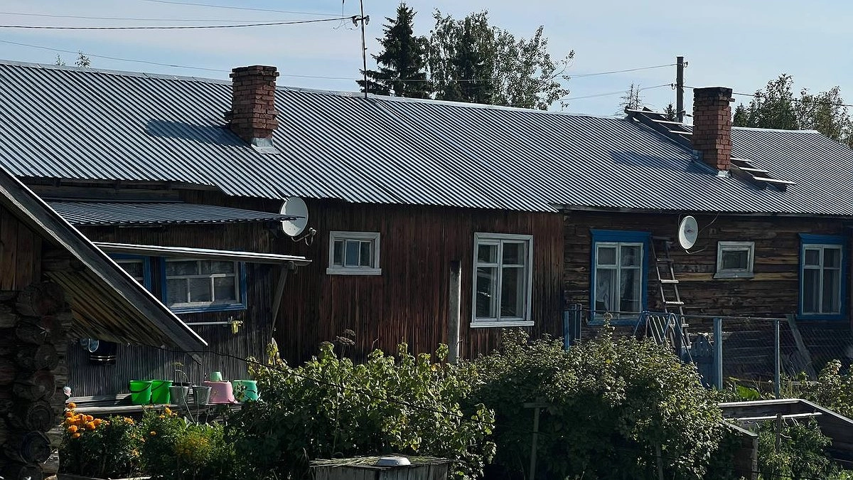 Откачка больше не нужна: инженер представил 2 биосредства для автономной канализации