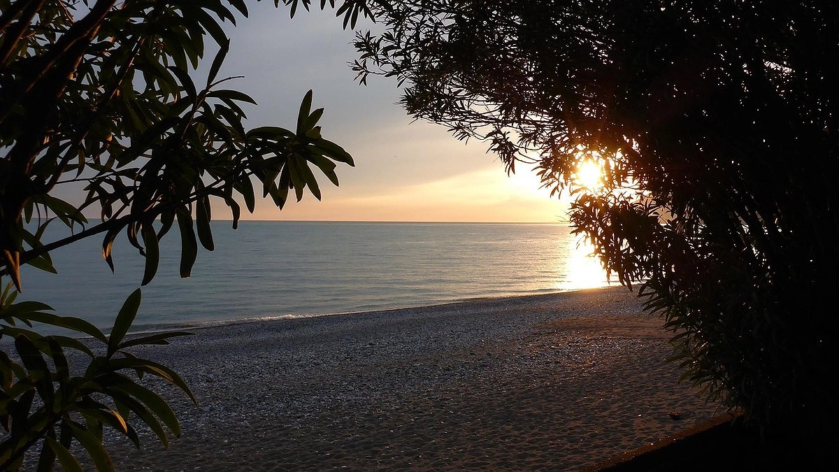 "В этот красивый ад больше ни ногой": российские туристы оставили честный отзыв об Абхазии