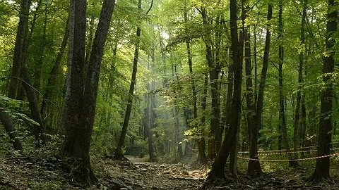 Внимание, Новороссийск: объявлена чрезвычайная пожароопасность на Черноморском побережье