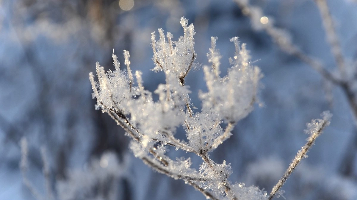 «Температурные качели» вместо морозов: что ждет жителей России в сезоне-2025/2026 и как к этому приспособиться — новый прогноз