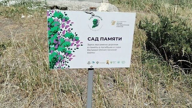 В Новороссийске жители просят власти обратить внимание на гибнущие саженцы растений и деревьев