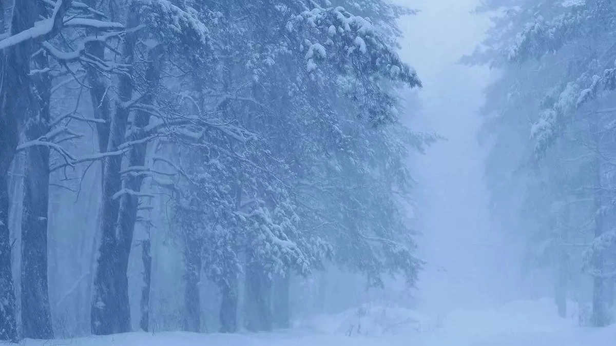 После шторма — стужа: Кубань готовится к удару 20-градусных морозов вслед за снежным циклоном