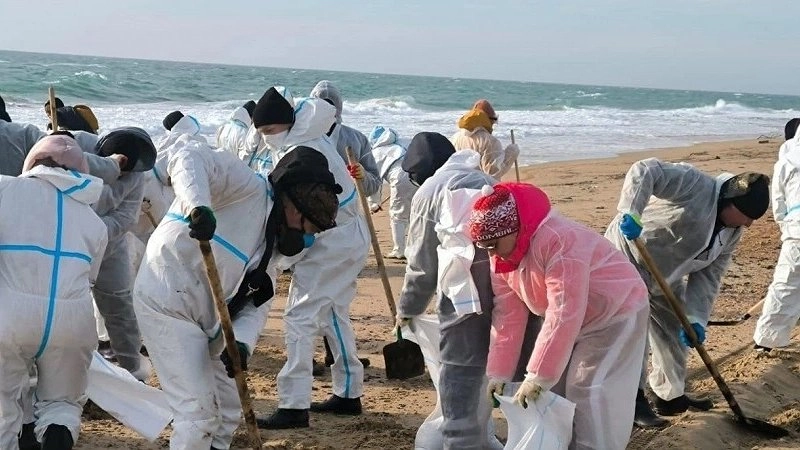 В Сочи тестируют инновационную технологию очистки моря с помощью бактерий