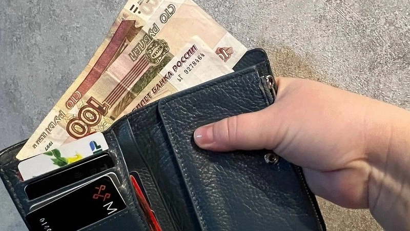 Высокие зарплаты в Краснодарском крае: что предлагают работодатели в мае