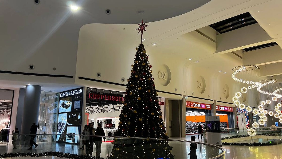 Возродятся из пепла: астрологи назвали знак зодиака, которому с 1 января предстоит новый путь, полный счастья