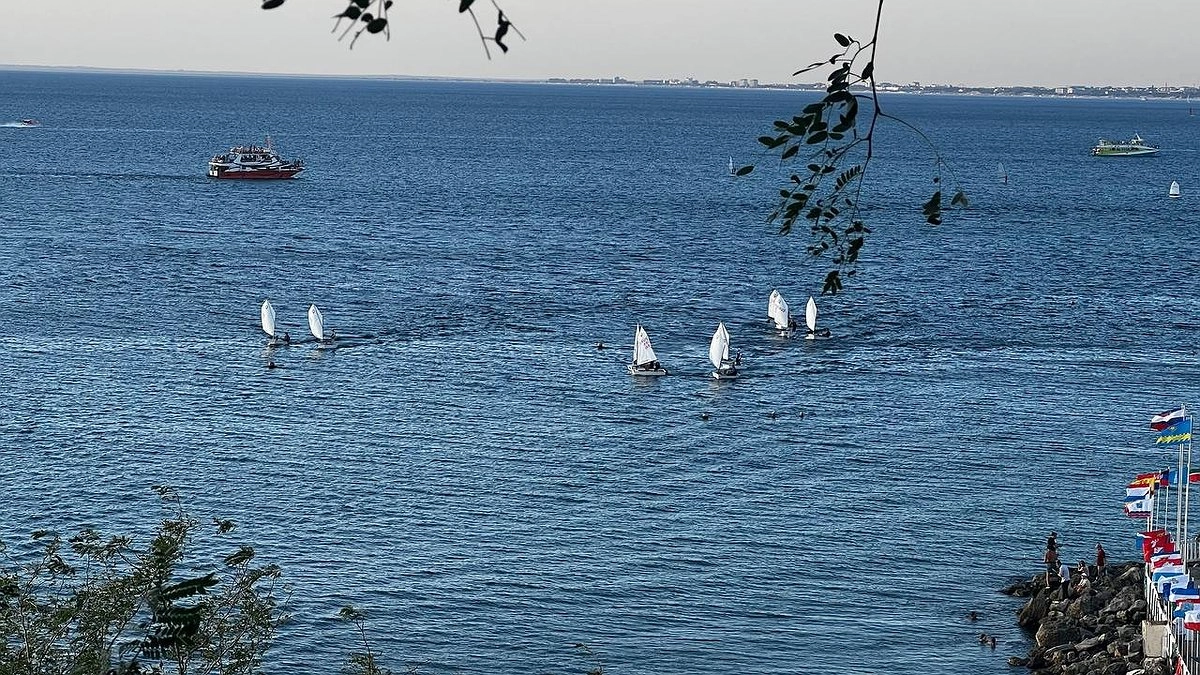 Главная картинка новости: В Новороссийске задержали полтысячи тонн турецкого табака из-за опасного вредителя