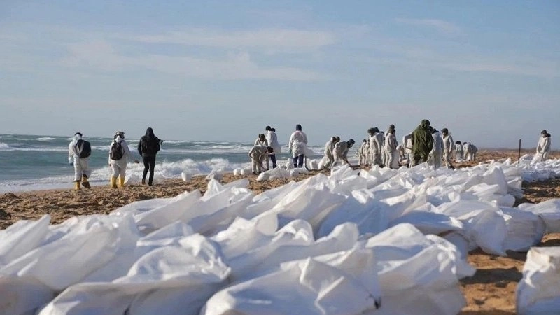 Главная картинка новости: Устранение разлива мазута в Анапе: вызовы и необходимость непрерывной работы