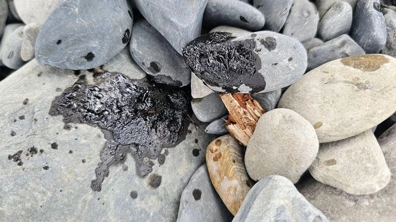 Блогер показал загрязнение на пляже Южной Озереевке