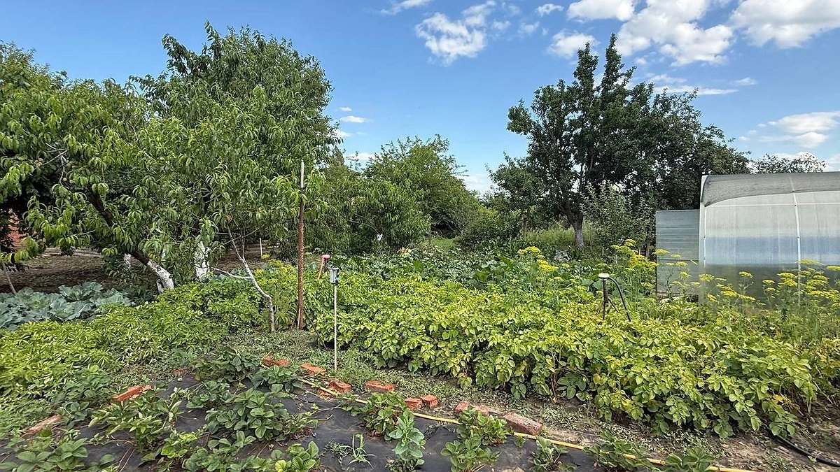 3 ложки на кучу — переработают даже толстые ветки: как приготовить компост за один сезон — рецепт от агронома