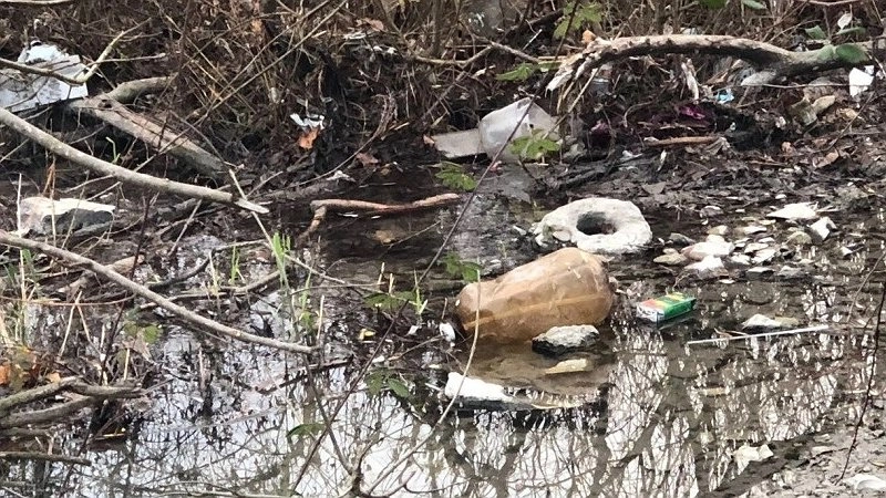 Жители Новороссийска требуют от администрации найти виновных в загрязнении Южных прудов