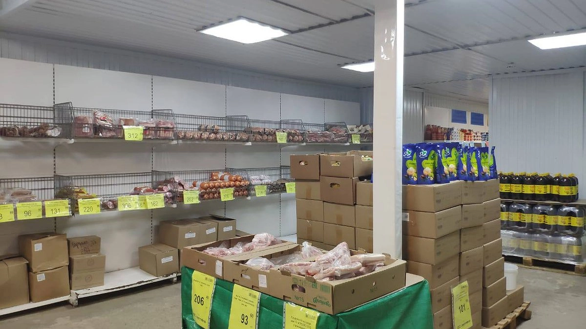 В "Светофоре" за белорусской тушенкой: мясо или фарш с костями — проверяем 3 банки