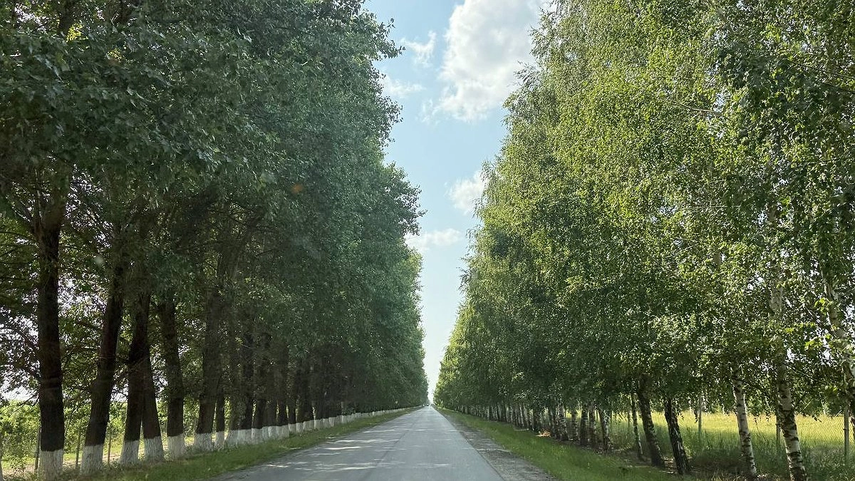 Сразу до +40 градусов: Вильфанд рассказал, когда снова вернется жара. Ждать осталось чуть-чуть