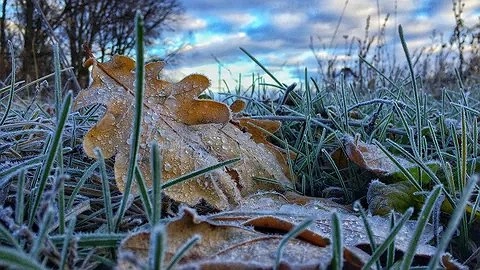 Антициклон-невидимка: синоптики предупредили о резком похолодании уже на следующей неделе