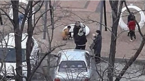 В Новороссийске на детские площадки установят камеры, а фонари оцинкуют по-новому