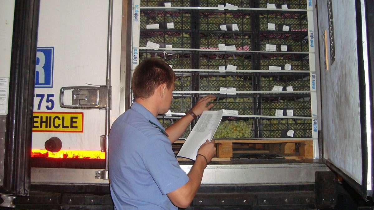 В порту Новороссийска обработали от плодовой мухи более 1 тысячи тонн фруктов