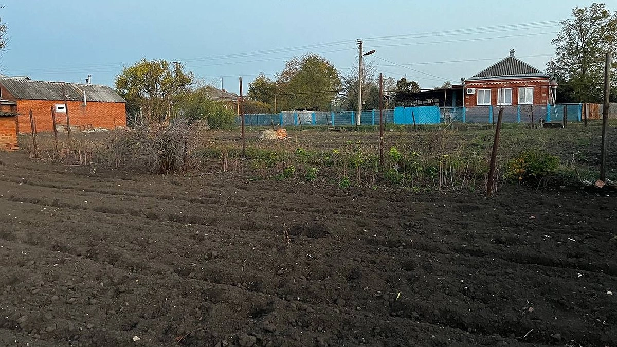 Не нужно ничего выкорчевывать: как моментально удалить пни на даче с помощью соли?