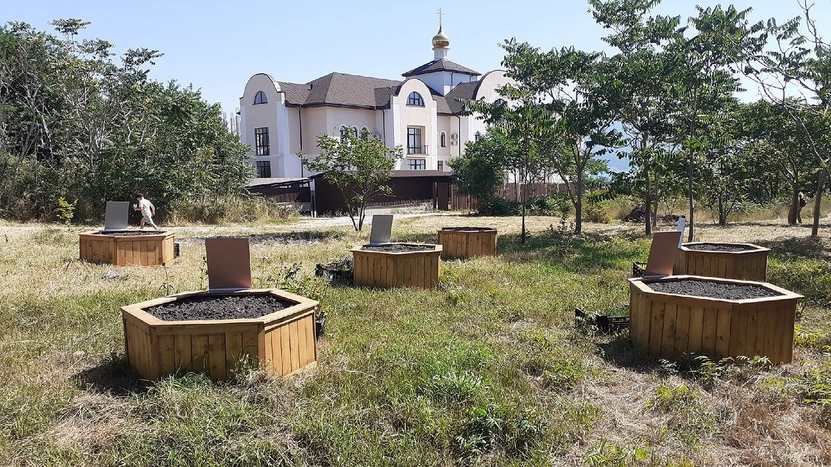 Монарда и шалфей: в Дендропарке Новороссийска появился Аптекарский огород