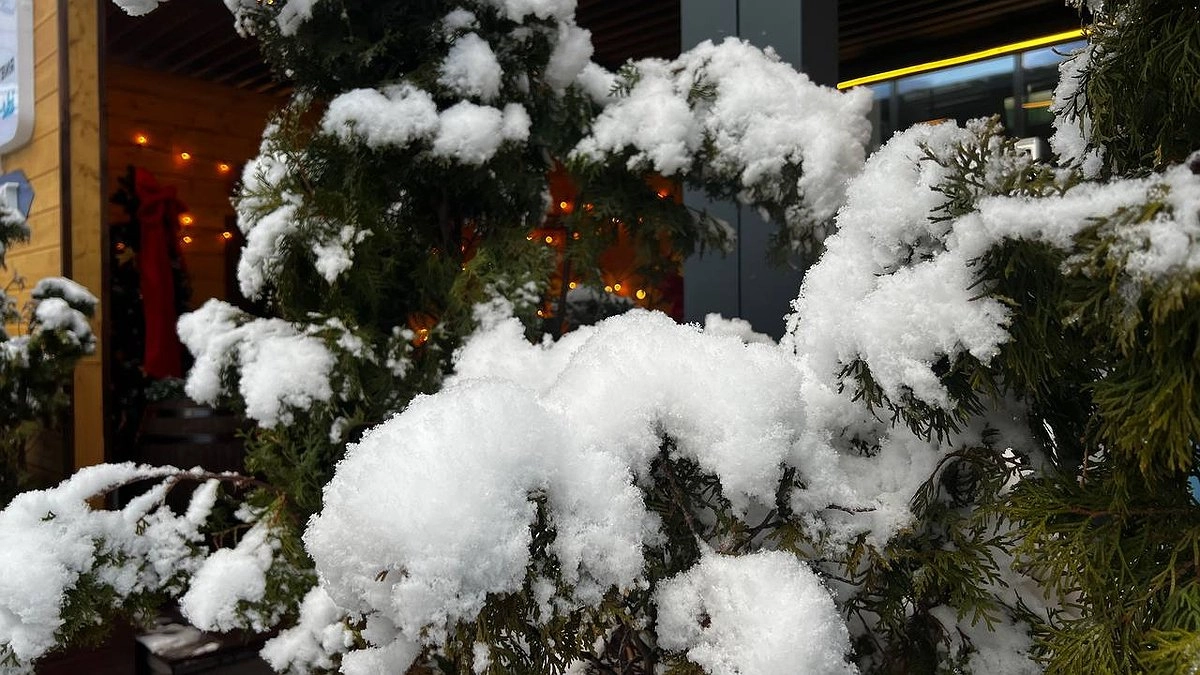 Россиян ждет аномальный холод до -32 градусов: Вильфанд озвучил прогноз погоды до конца этой недели