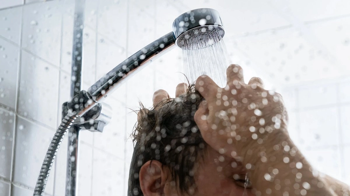 Главная картинка новости: Неожиданный выбор: почему американцы и канадцы отказались от классических способов мытья