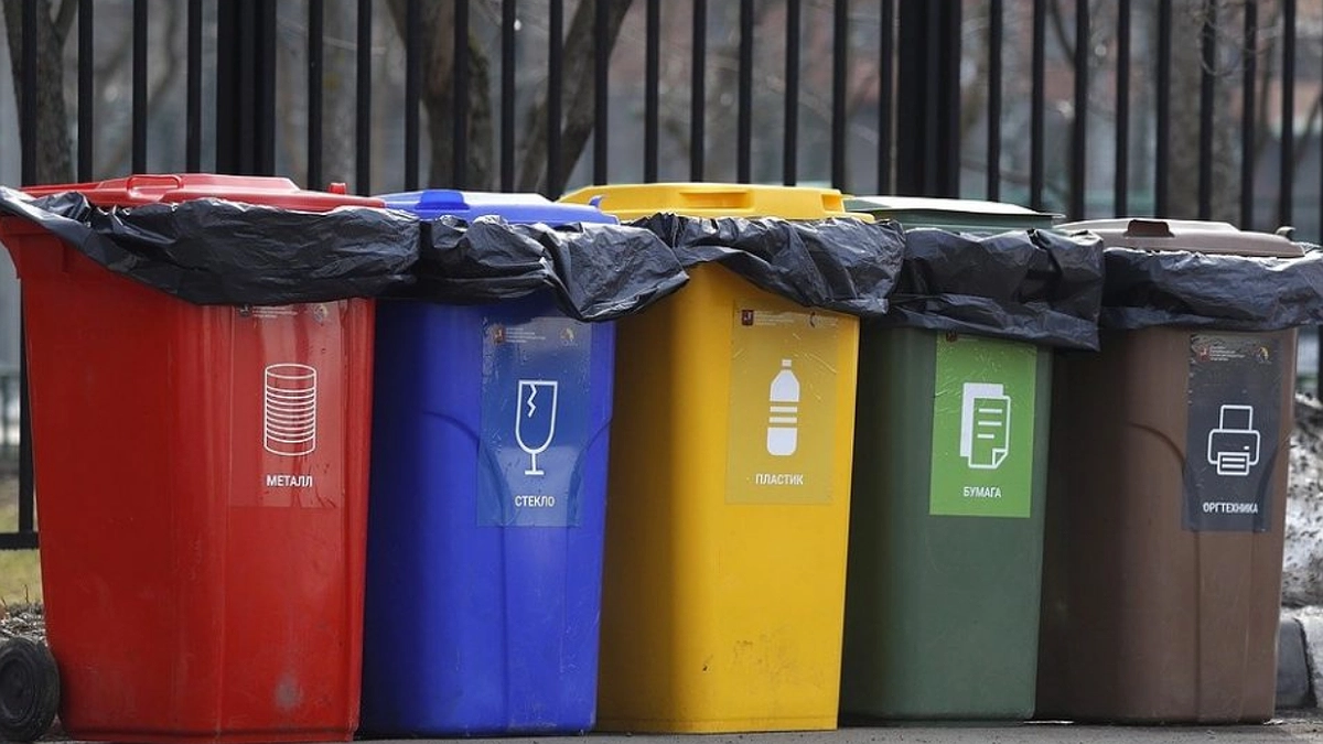 Новороссийск запускает эксперимент по раздельному сбору мусора: что ждет горожан