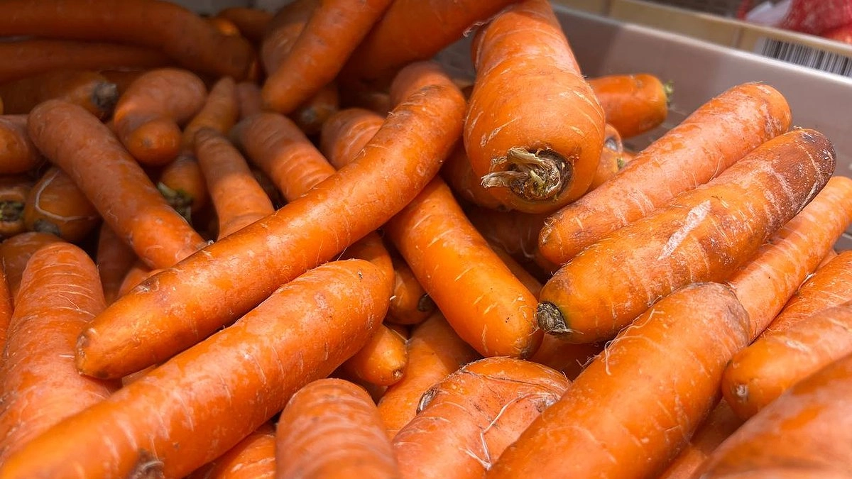 Главная картинка новости: Июльская подкормка моркови и свеклы золой: для крупных и сочных корнеплодов