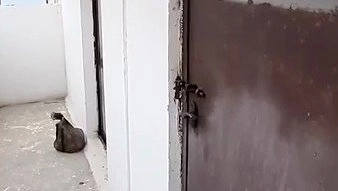 Жители дома на Малой Земле требуют открыть пожарный выход