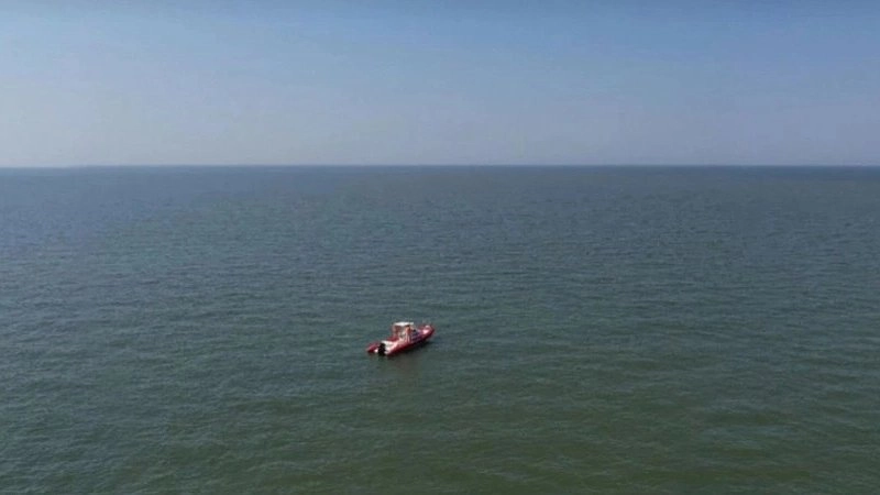 Угроза исчезновения рыб в Азовском море