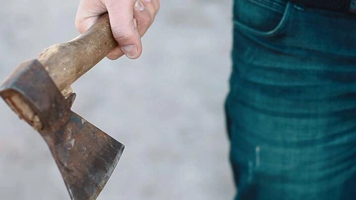 Новороссиец ударил друга топором и закопал его во дворе. Скоро суд вынесет решение