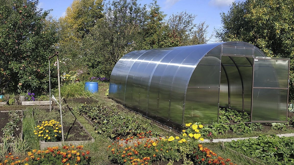 Всем, у кого есть баня или теплица: Госдума подготовила для дачников «подарок»