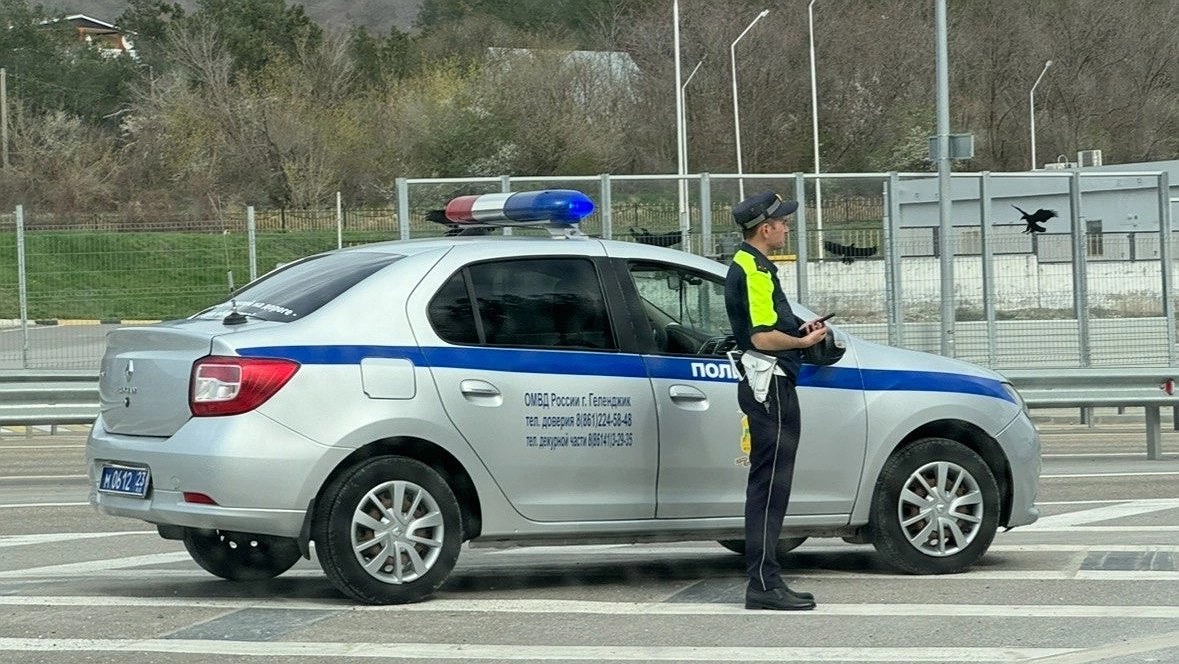 Главная картинка новости: В ГИБДД назвали одну категорию россиян, которым теперь не получить водительских прав