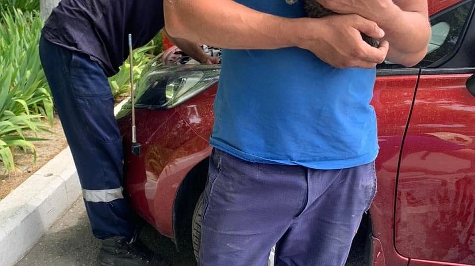 В Новороссийске котенок решил исследовать автомобиль и застрял под капотом