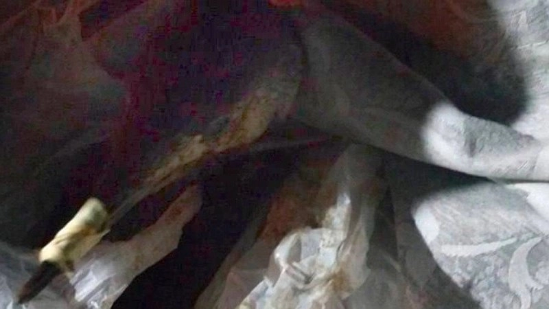 Обнаружение загрязненной птицы в Мысхако: экологическая ситуация требует внимания