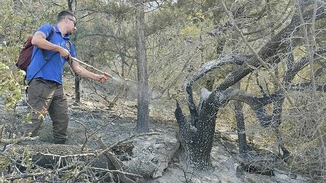 В селе Дюрсо под Новороссийском основной огонь уже потушен