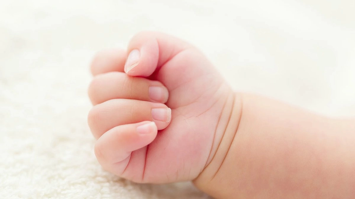 Главная картинка новости: 11 новорожденных появились на свет в День города Новороссийска