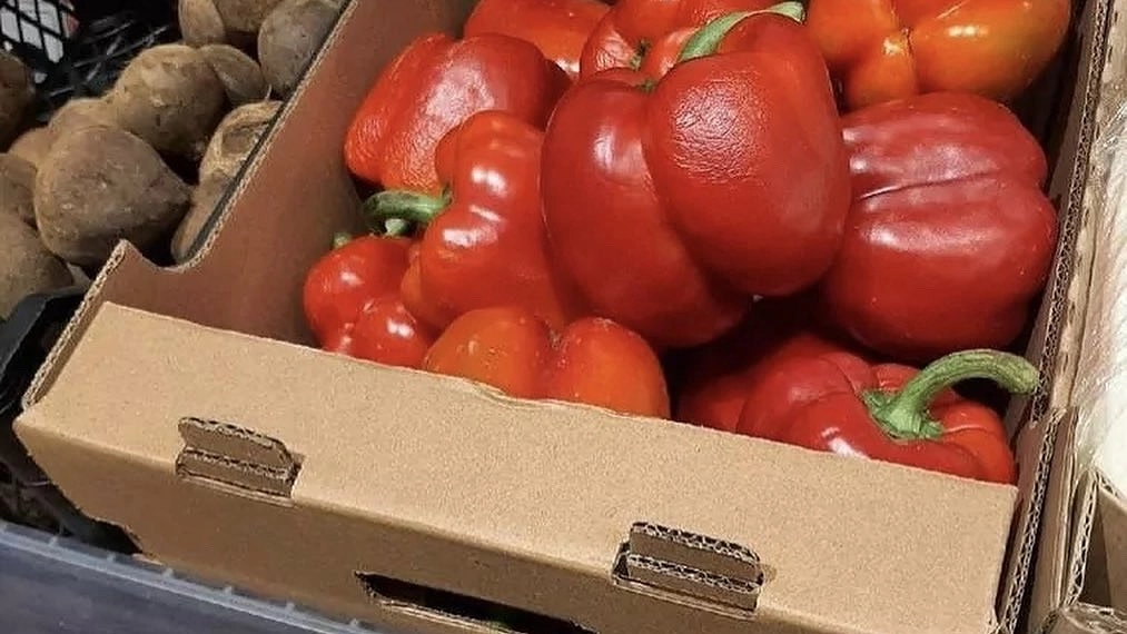 Как пшено помогает мне каждый год: выращиваю богатый урожай перца